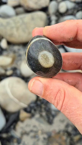 O3QmBCh oJXBcwis.jpg