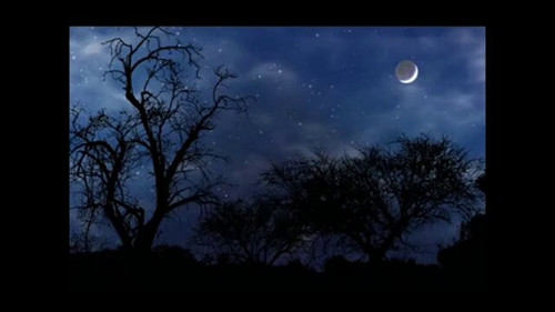 3LQqRLdFNr 8JwlN.jpg