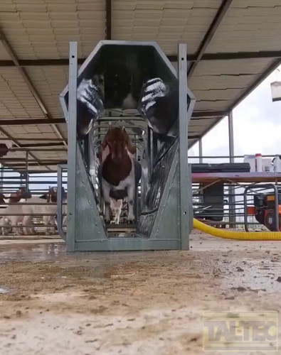 c ZourUHwRoqEvsQ.jpg