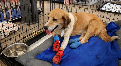 603920264 1184608313790108 654469729966536979 n.jpg? nc cat=101&ccb=1 7& nc sid=127cfc& nc ohc=q igI.jpg