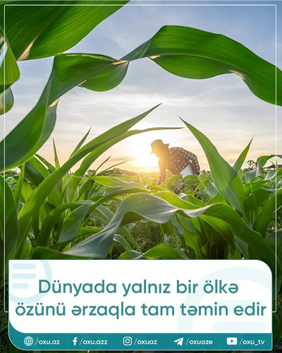 600908297 891654416852025 8308610957929685864 n.jpg?stp=dst jpg s640x640 tt6& nc cat=101&ccb=1 7& nc.jpg