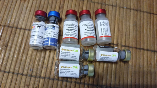 799802fd 0eaf 43f6 a8e2 1d689c695656.jpg