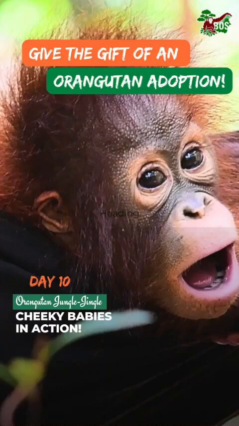 8JLK H26cRqDvMHC.jpg