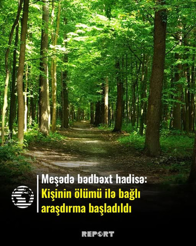 604876928 1173175235023863 6276114093871140258 n.jpg?stp=dst jpg s640x640 tt6& nc cat=107&ccb=1 7& n.jpg