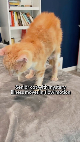 Mb0 J5Q3CM K0tF5.jpg