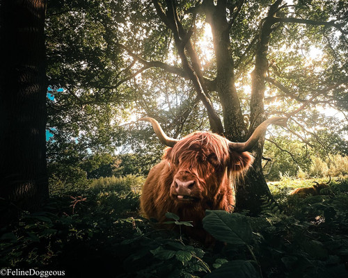 G8XX74OXYAEhwu ?format=jpg.jpg