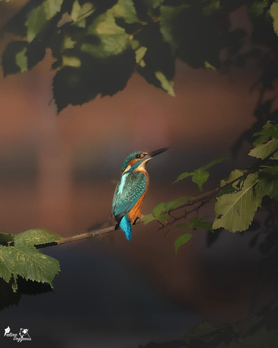 G8hV3OZWgAE yTn?format=jpg.jpg