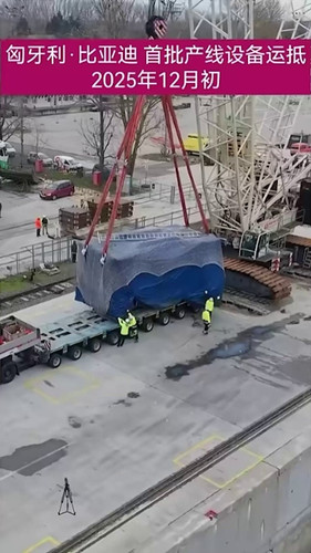 yfwXupqolPqrA7 8.jpg