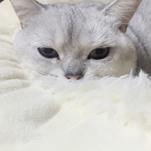 MEITU 20251222 210857785.jpg