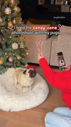 mYdvQst8j xuZ aF.jpg