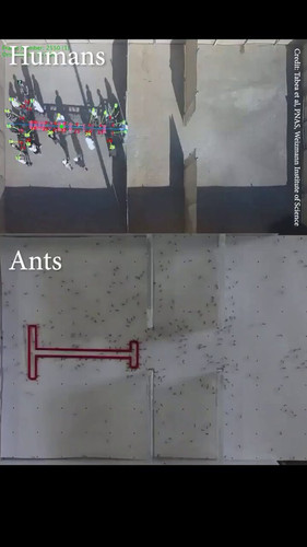 cKU5CLQeCT0VFHp .jpg