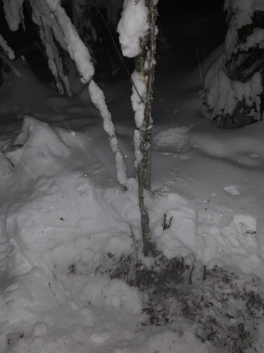 IMG 1190.jpg