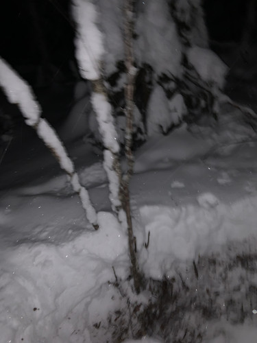 IMG 1188.jpg