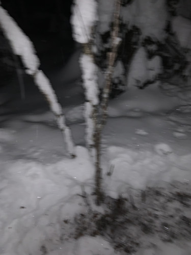 IMG 1189.jpg