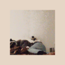 fb85428b2524.png