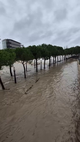 zXSI6k zxpQyq zl.jpg