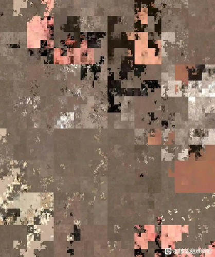 1000022651.jpg