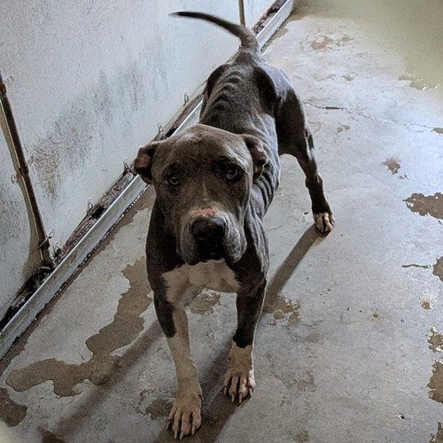 GsIT00PXwAEy7Hu.jpg