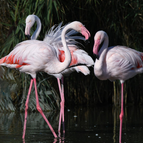 G8R NH5WkAEmyor?format=jpg.jpg