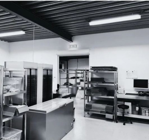 Cbd Destillat | Pharmabinoid.eu.jpg