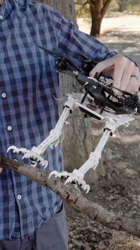 uR8w25lgLypfeb N.jpg