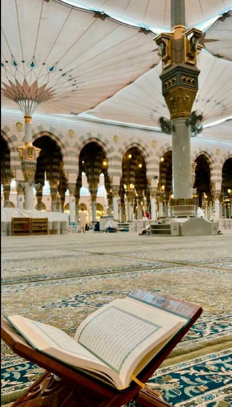 qwhHNMW4ZACb9LOgJEHJwhfTFs2NnyXE9EJTttMTrbtGDciJOfNwL9f1 hW JDDv7BHrDIcfKfblMHfr6Fowr7QyG7lHx9Ts Dpo.jpg