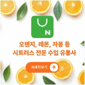 배경.gif