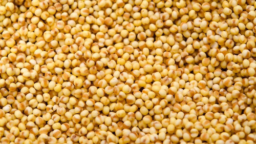What This Grain Is And Why Foxtail Millet Are Considered Superfoods.jpg