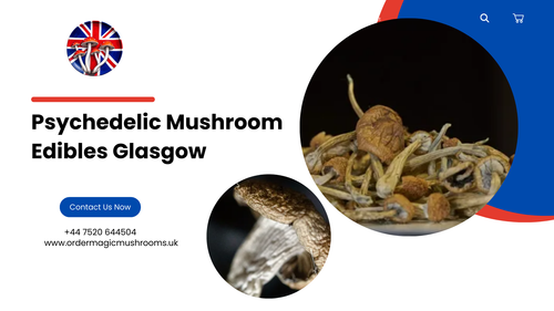 Buy Psychedelic Mushroom Edibles Glasgow - Ordermagicmushrooms.png
