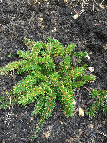 IMG 0218.jpg