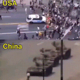 RDT 20250923 1221571471624493951919937.gif