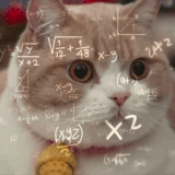 IMG 8030.gif