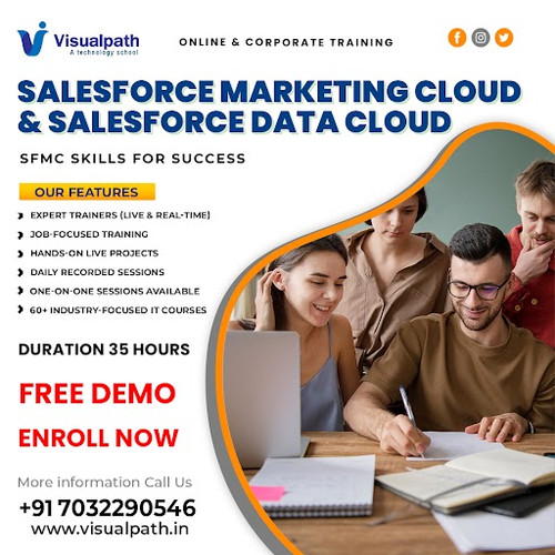 Salesforce Data Cloud Training Online  Training Hyderabad.jpg