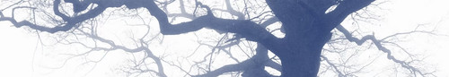 IMG 3292.jpg