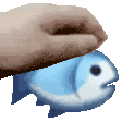 IMG 6202.gif