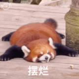 IMG 5579.gif