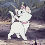 Discord avatar.gif