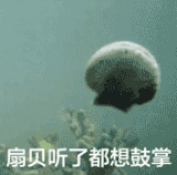 IMG 5299.gif