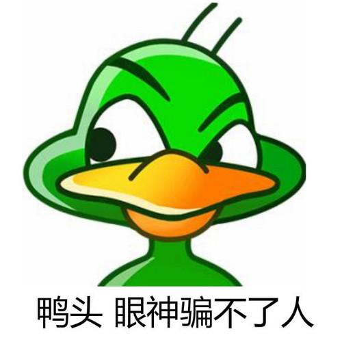IMG 0738.jpg