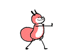 IMG 6462.gif