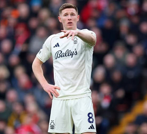 603892719 1534146632054543 8813696682505885549 n.jpg?stp=dst jpg p552x414 tt6& nc cat=105&ccb=1 7& n.jpg