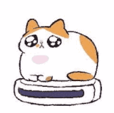 IMG 2155.gif