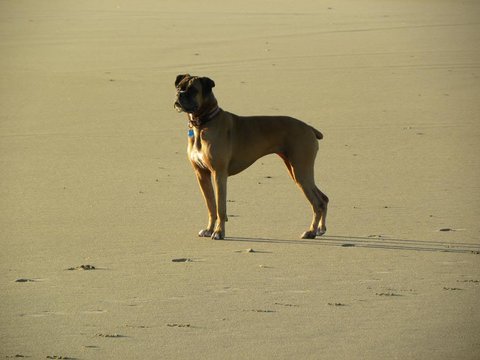 117CB3DE 797B 45C9 83B6 53578EFDF52D.jpg
