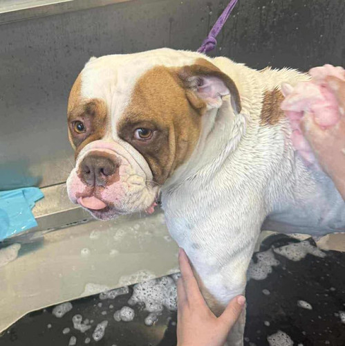 G7VD wKXwAATep8?format=jpg.jpg