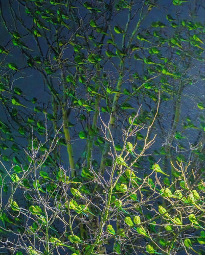 uDyWKrh5C7OyvrrjbrU9qm a9nxVBNr9C H3M mub JpHbz65giIbGeu CgN1kHkNxtModpPj Acmc615aiJ Ryl5J112cWdfVc4.jpg