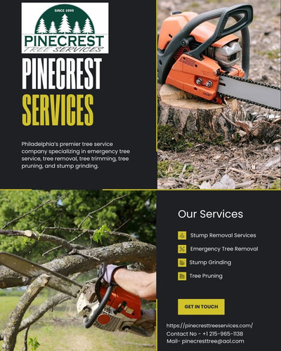 Stump Removal Philadelphia.jpg
