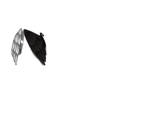 hetero head wings.png