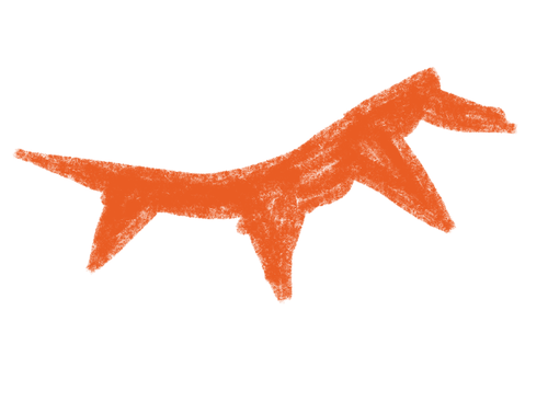 IMG 5970.png