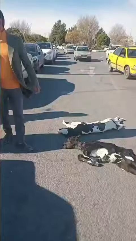 Jbi x2QVyR4zhmKV.jpg