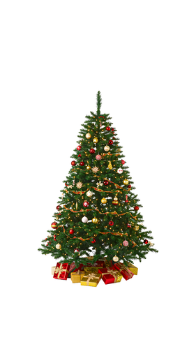 Desain tanpa judul (4).png